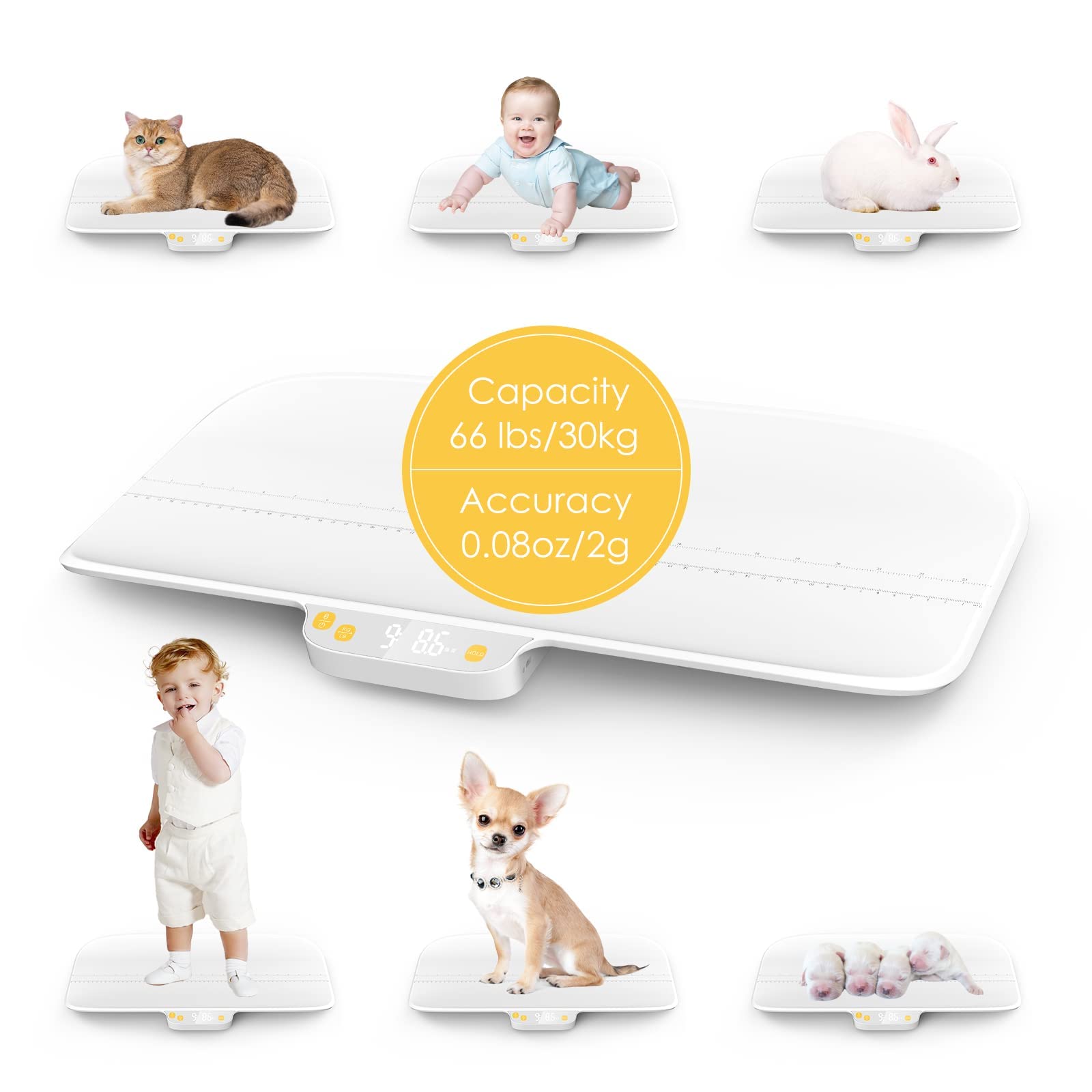 Integrated tray and display on the MINDPET-MED scale for quick measurements