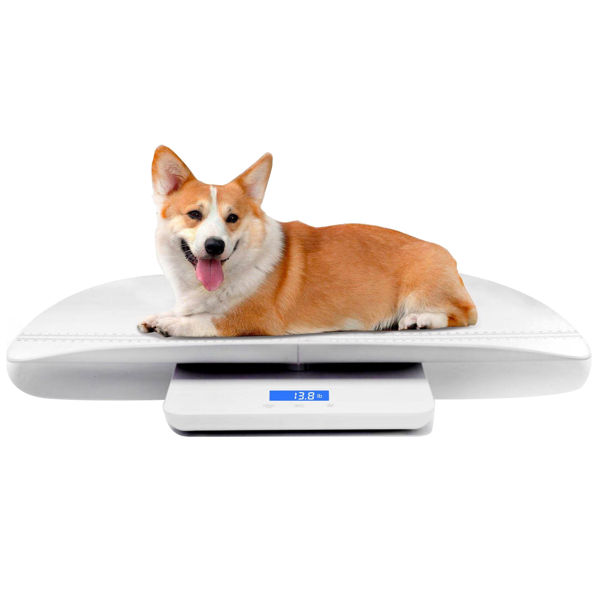 MINDPET-MED digital scale tray measures infants and small pets with easy cleanup.