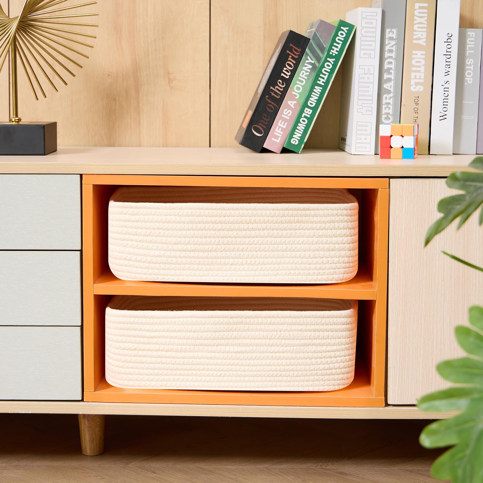 MiniArk in-closet arrangement illustrates flexible storage on shelves