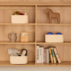 MiniArk basket in cube closet setup shows versatile storage