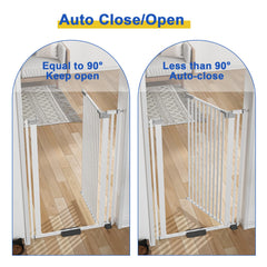 Mino Kesper auto-close feature for hands-free pet safety.