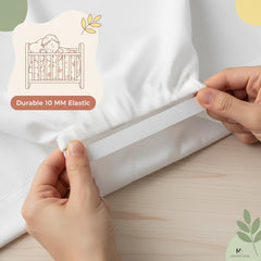 Mississippi Cotton packaging image shows convenient 6-pack for classrooms.