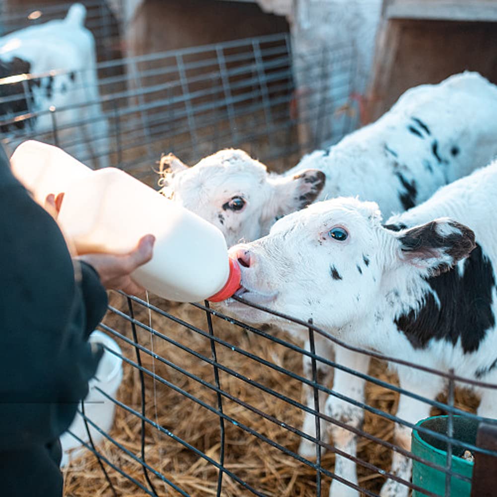 MODUODUO durable rubber nipple resists chewing during feeding sessions