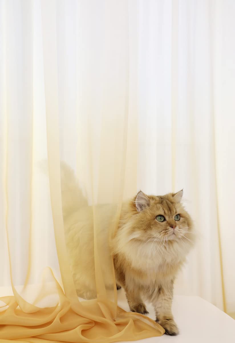 MoonVAN Windows Gradient Curtains rod-pocket detail enables easy installation on standard rods.