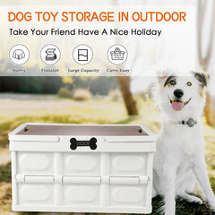 Morezi foldable design dog storage keeps spaces tidy on outdoor trips.