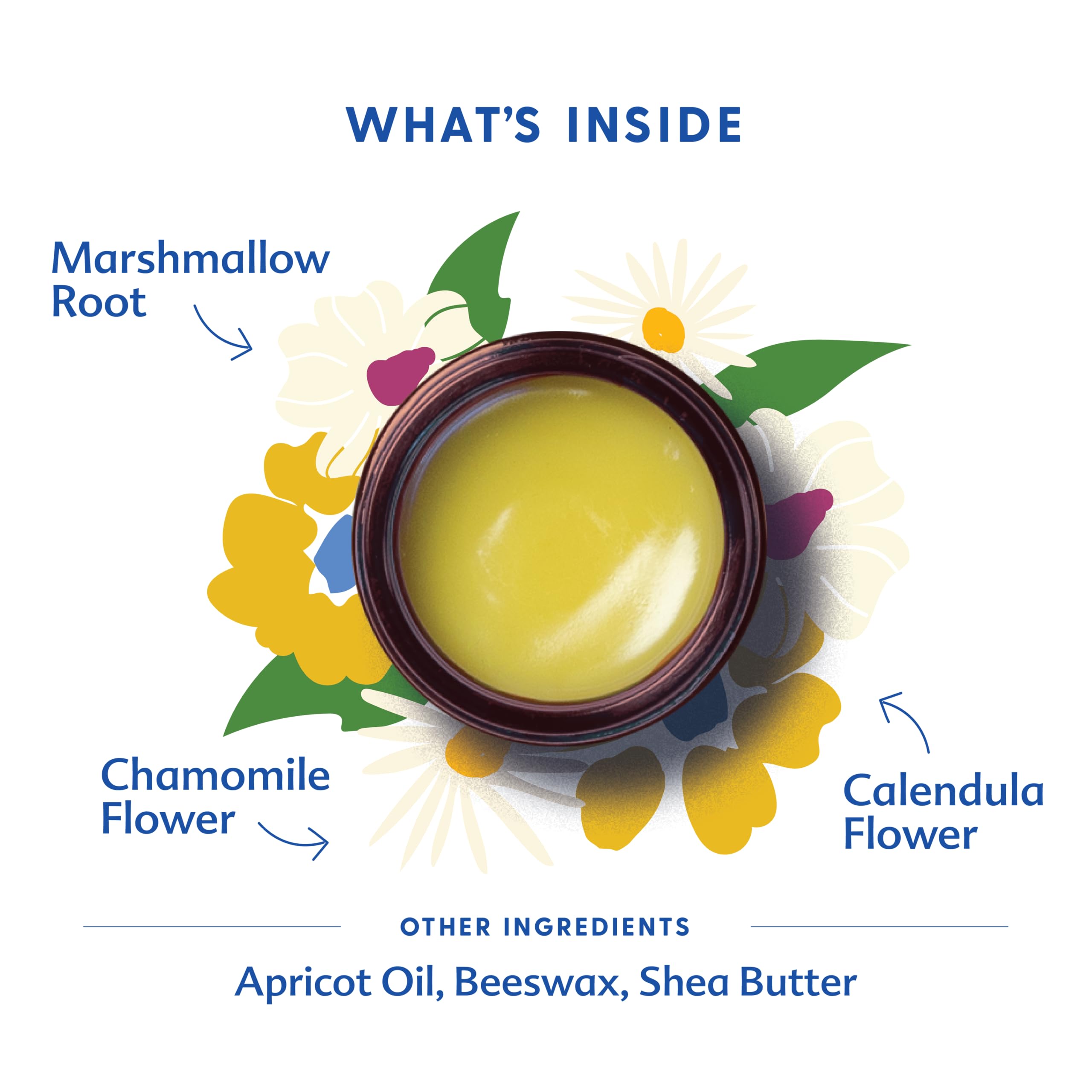 Organic herbs in balm: calendula and marshmallow root for nourishment.