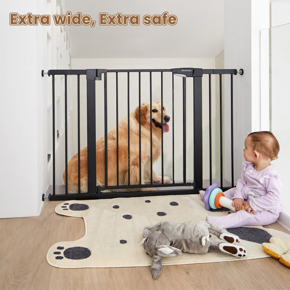 Mumeasy living room setup with pets nearby