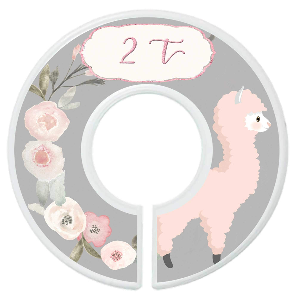 Mumsy Goose 3T llama floral divider keeps outfits neat in the closet.
