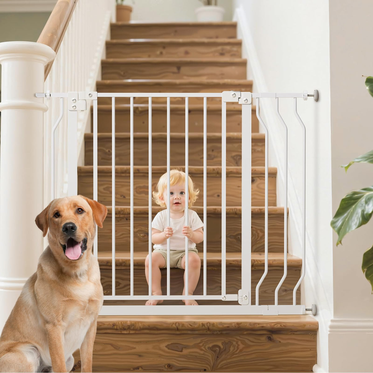 Mutak baby gate for stairs with wide passage to keep toddlers safe.