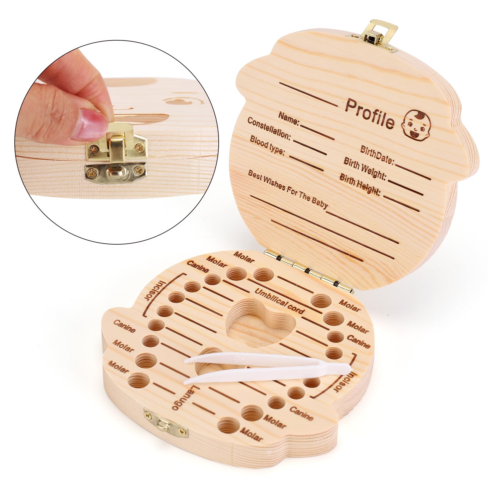 NASHRIO tooth box lid open shows organized storage for baby teeth.