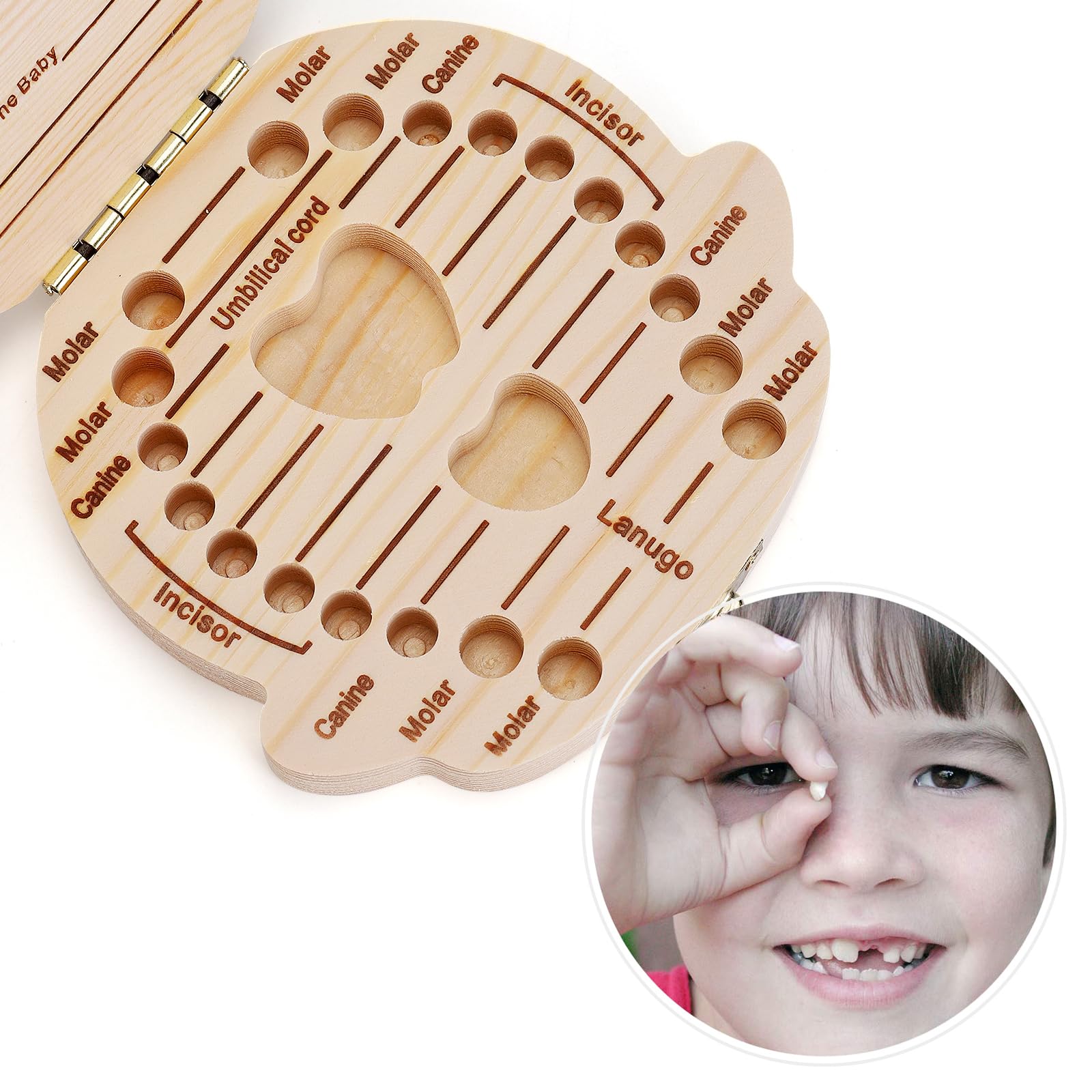 NASHRIO tooth fairy box wooden showcases the keepsake design.