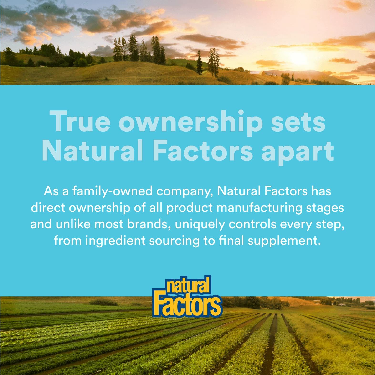 Natural Factors MenoSense Veg-Capsules swallow close-up for discreet everyday support.