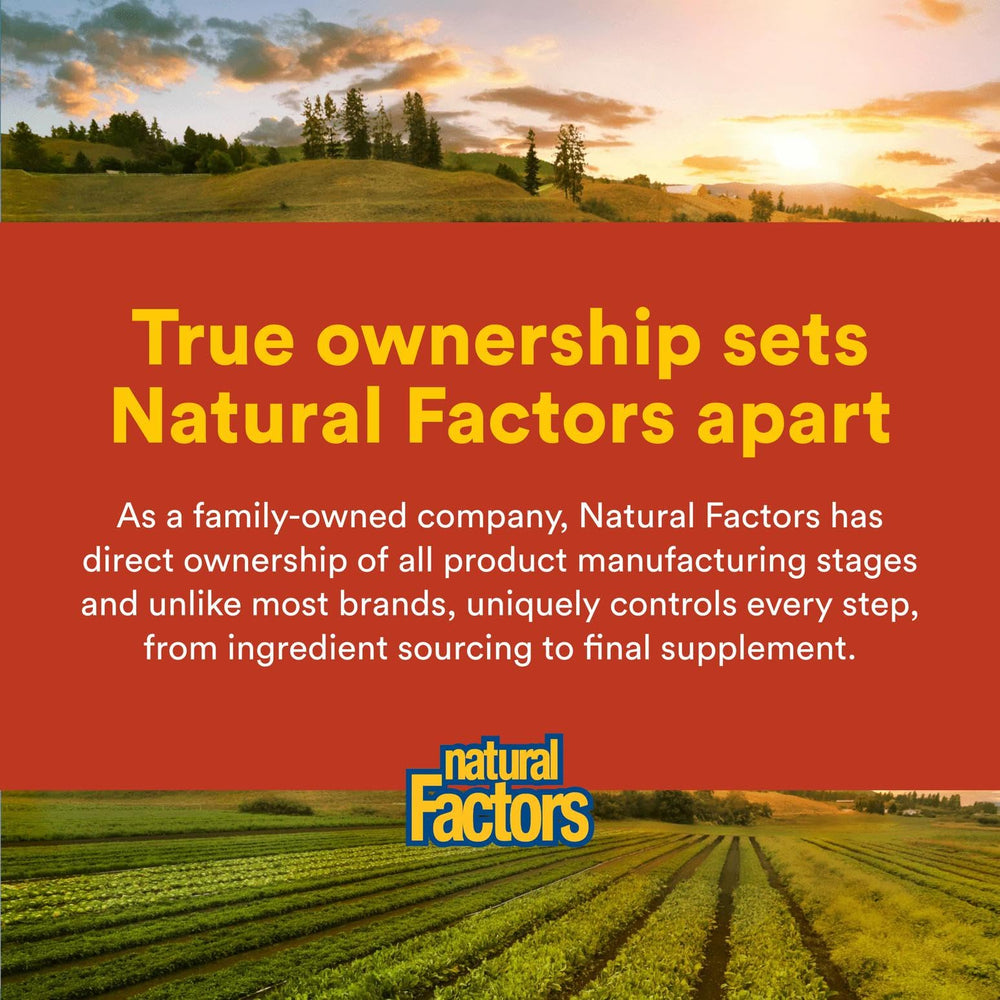 Natural Factors Women's Plus MultiStart lifestyle scene showing daily routine and calm moments.