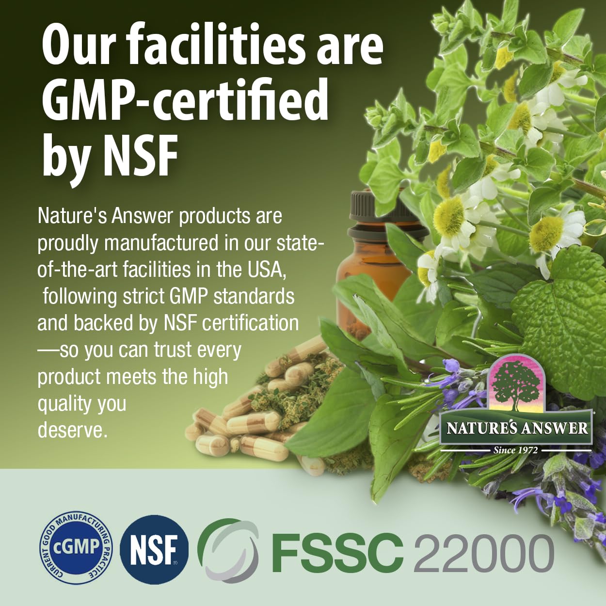 Nature's Answer vitex berries image conveying plant-based wellness aroma.