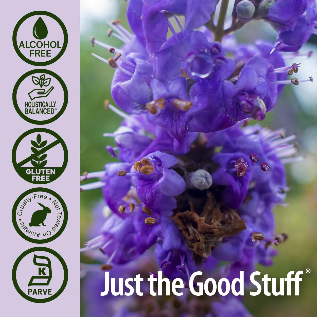 Nature's Answer vitex ingredients close-up emphasizing pure herbal content.