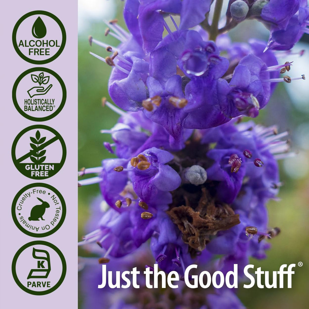 Nature's Answer vitex ingredients close-up emphasizing pure herbal content.