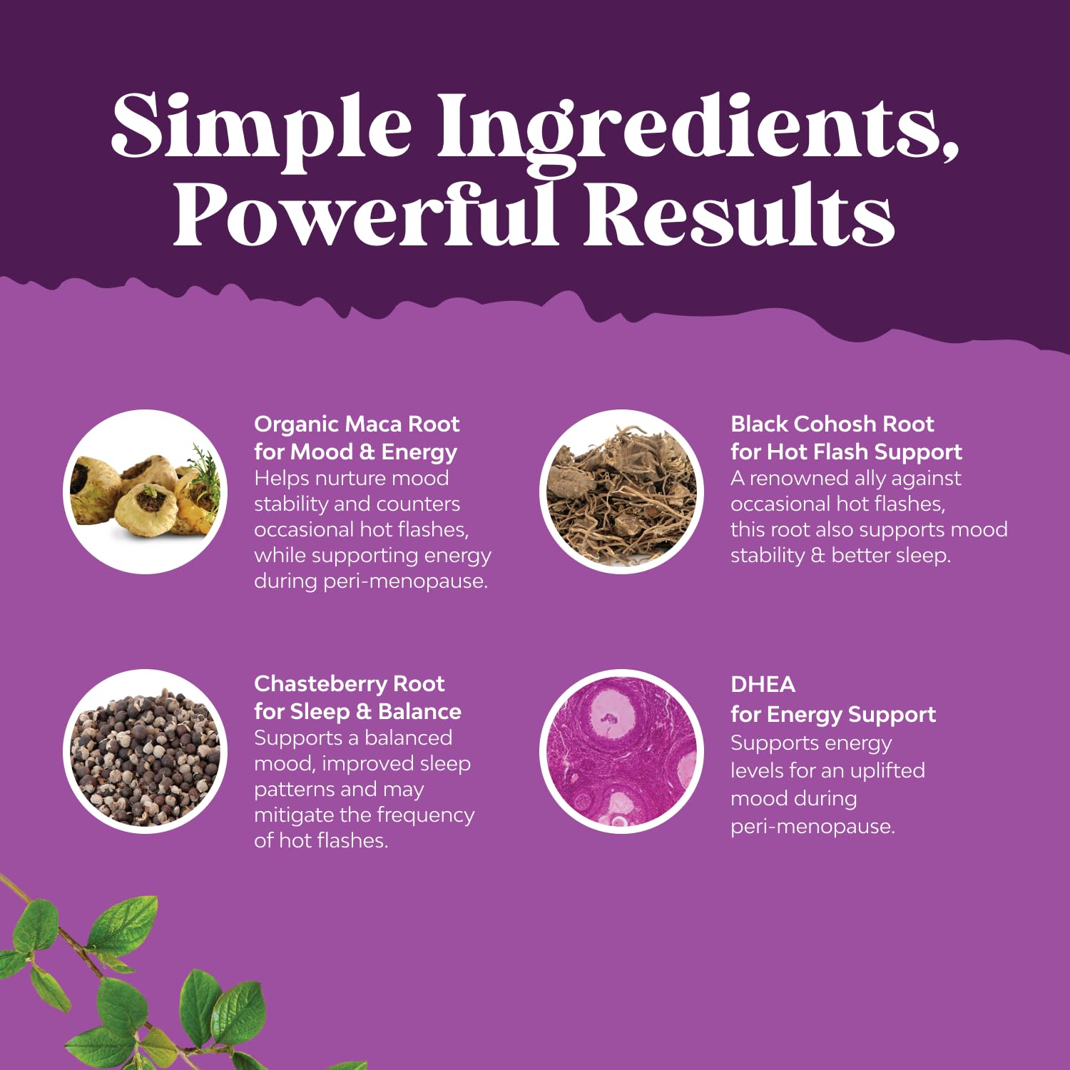 Natures Craft black cohosh dried root image signals menopause comfort and relief.