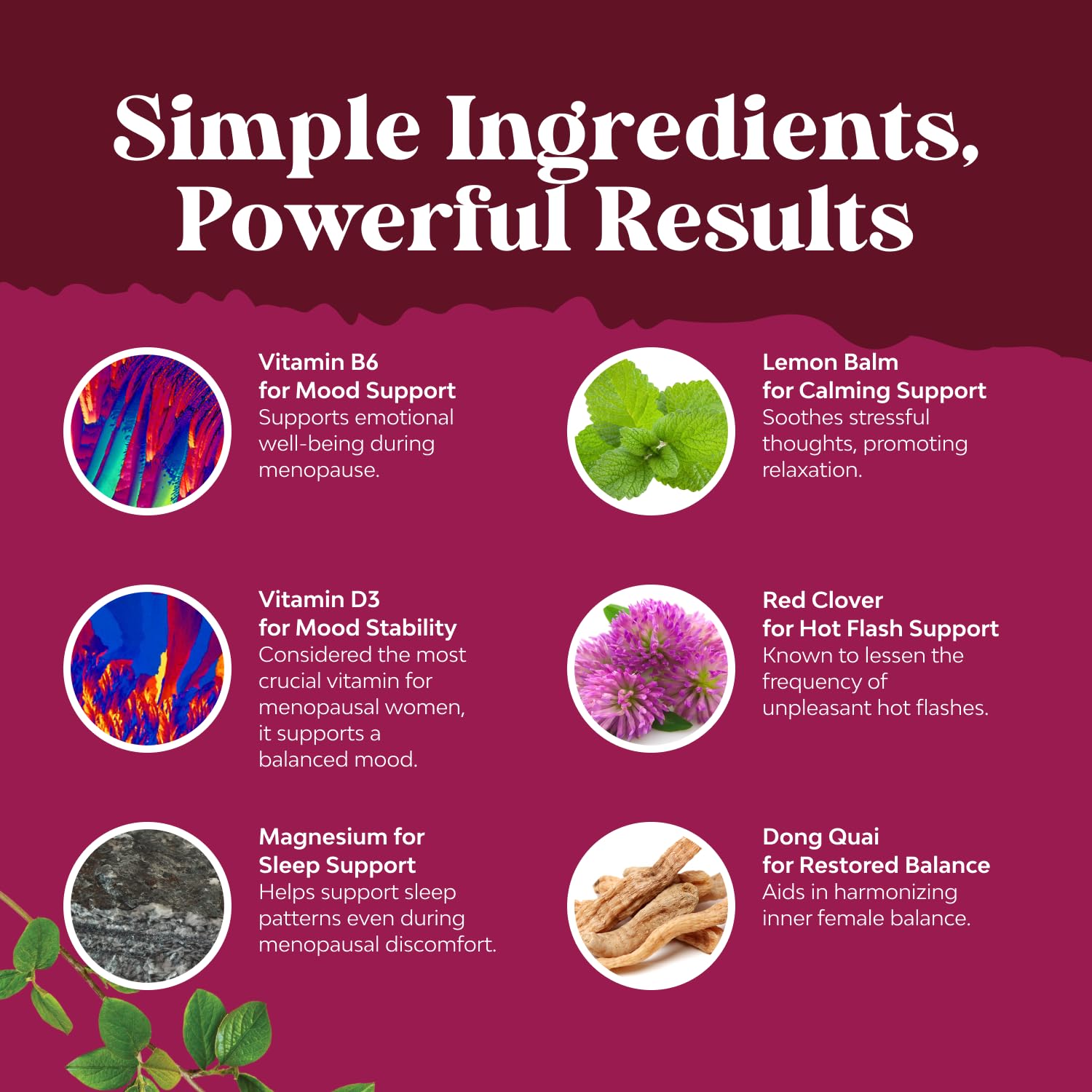 Natures Craft Complete Herbal Menopause capsules close-up show soy-free formulation.