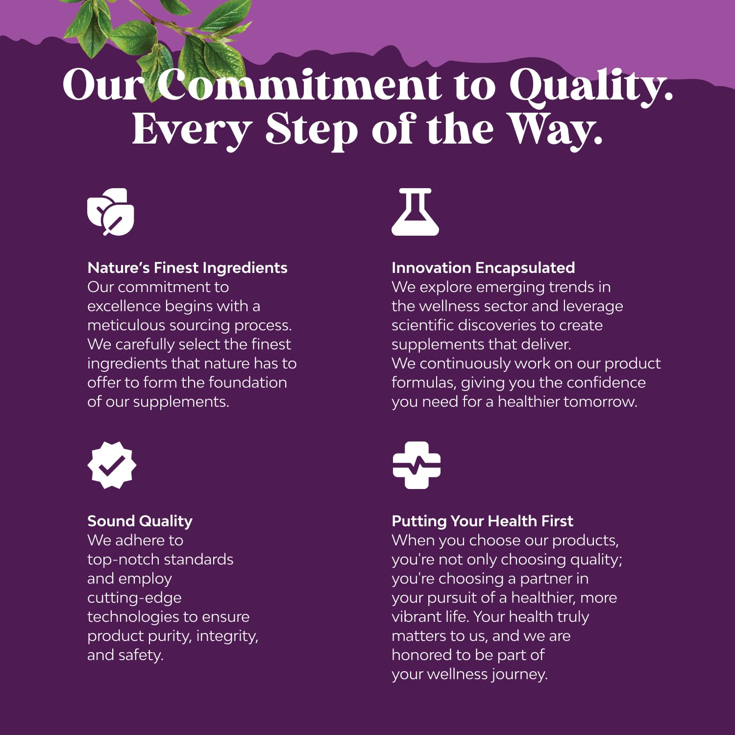 Natures Craft DHEA ingredient graphic emphasizes balanced support.