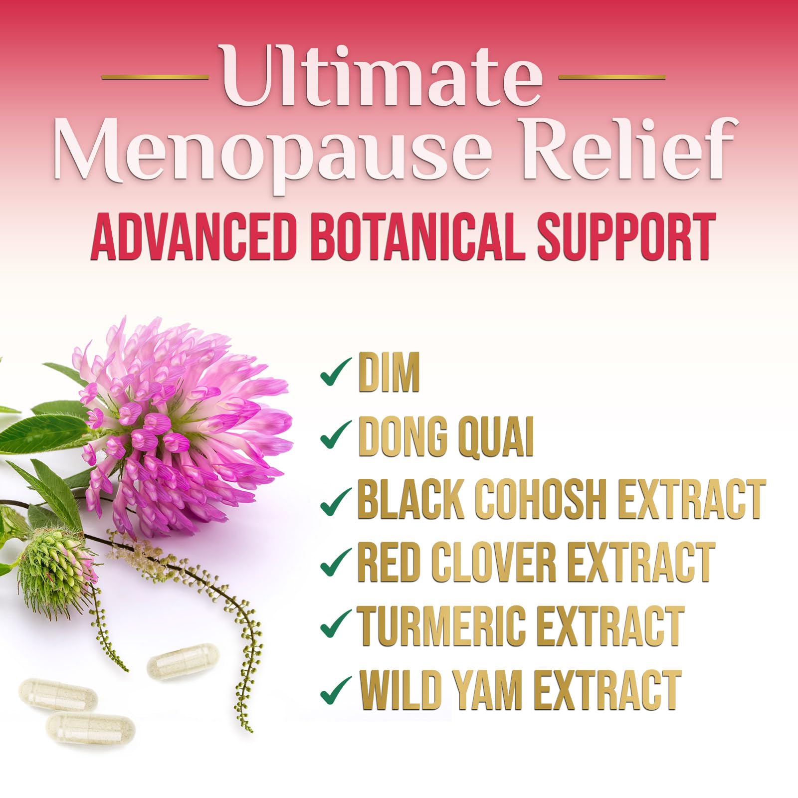 Nature's Nutrition menopause capsules in hand show easy-to-swallow daily capsules.