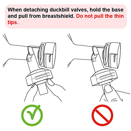 Nenesupply multipack supports regular pumping with reliable valves.