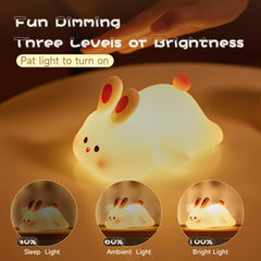 NesveCit rechargeable night light provides a full-night glow for overnight use.