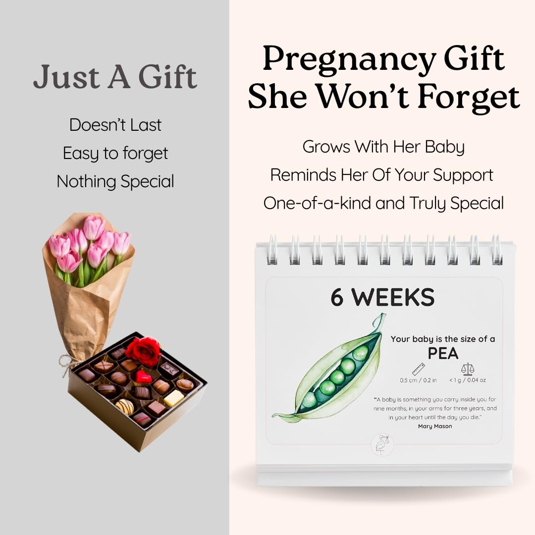 Newborn Nest pages blend visuals with warmth for mindful anticipation.