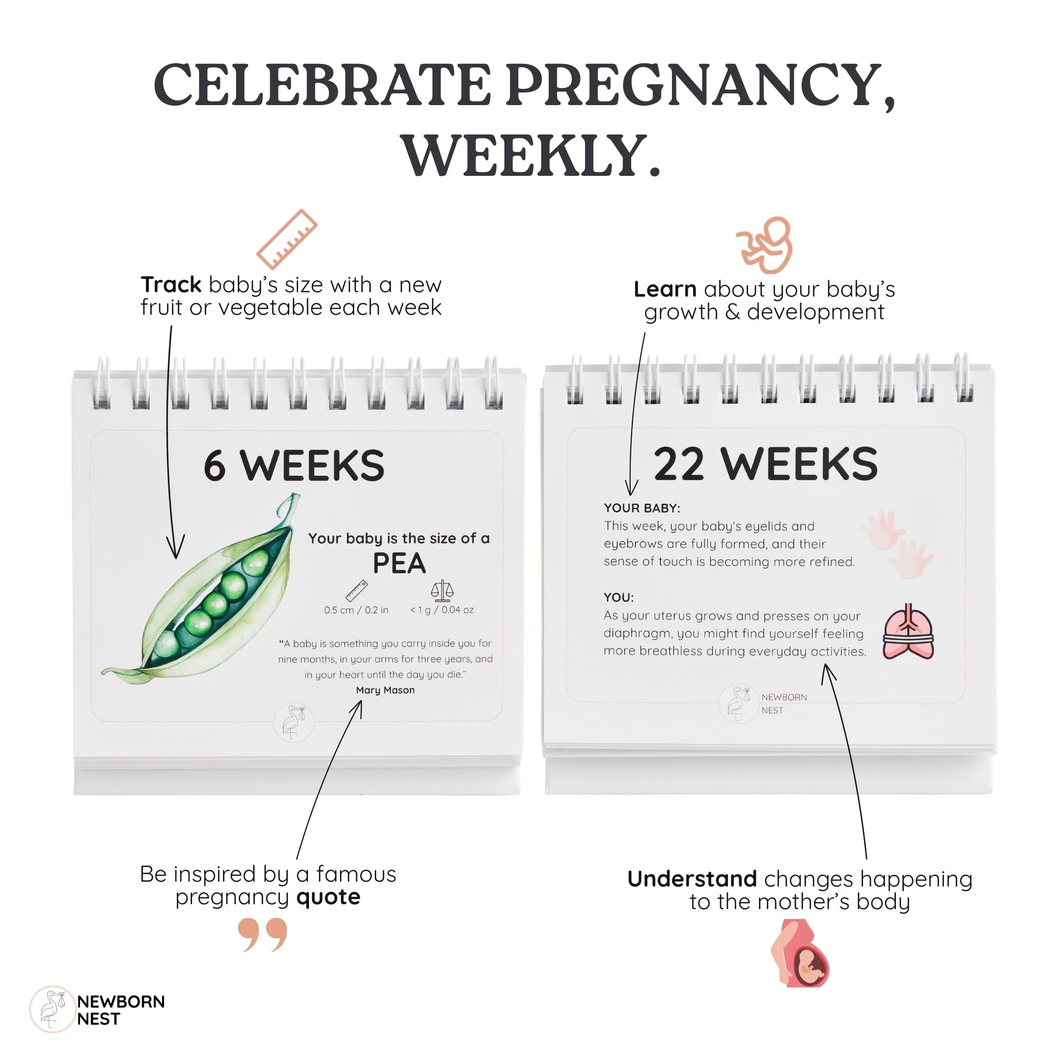 Newborn Nest fruit and veggie graphics make progress visual and engaging.