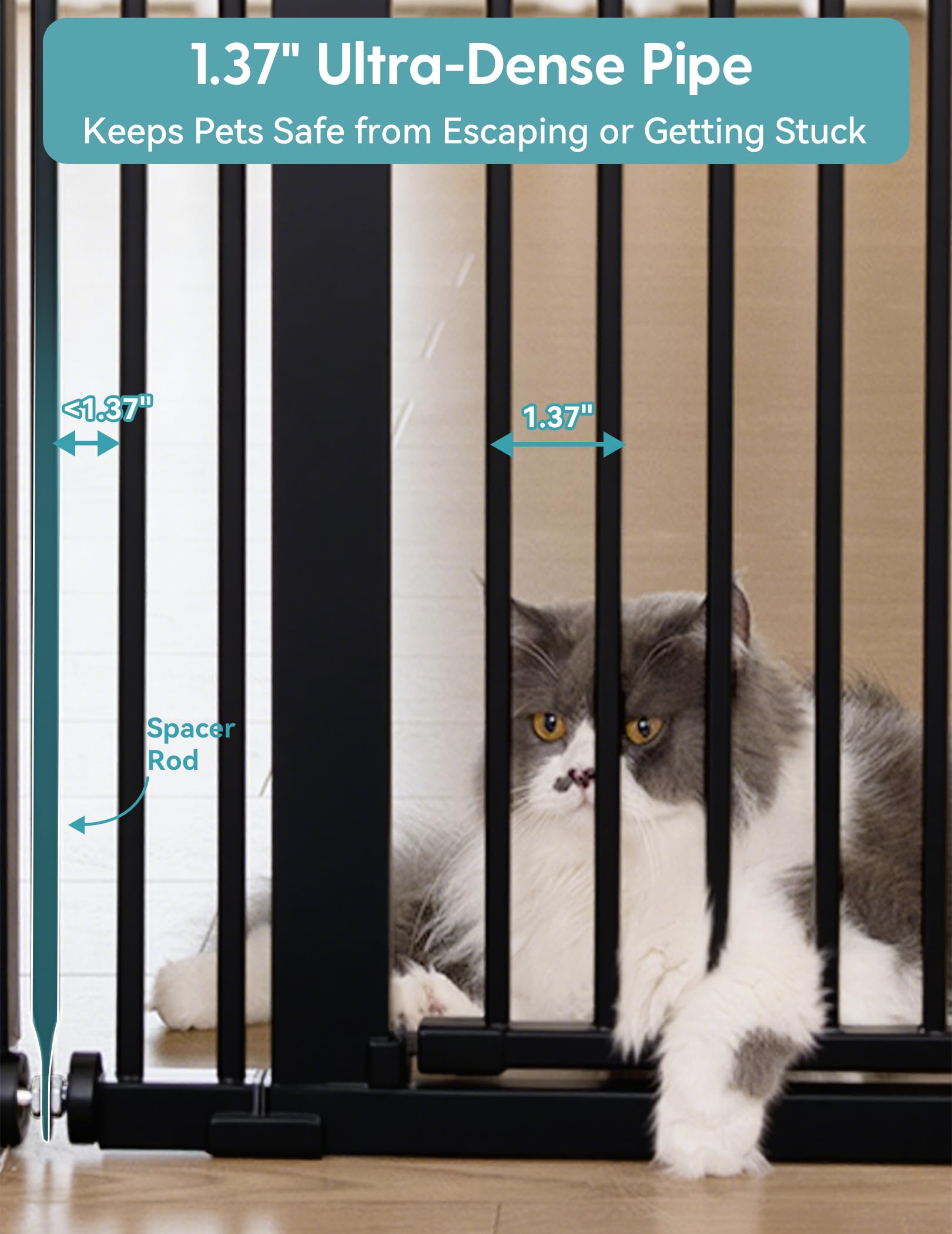 No Pawblems auto-close feature highlights convenient hands-free passage