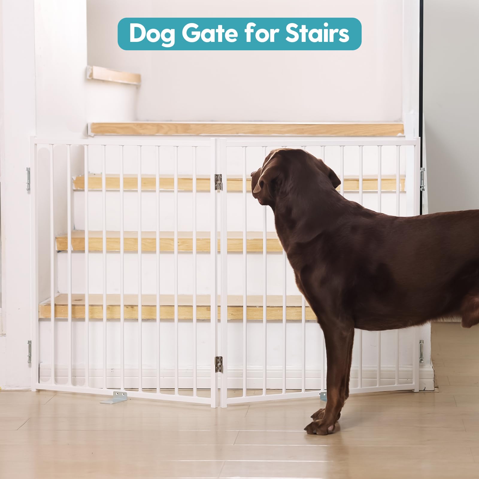 No Pawblems indoor-outdoor dog gate fits stairs, hallways, and decks.