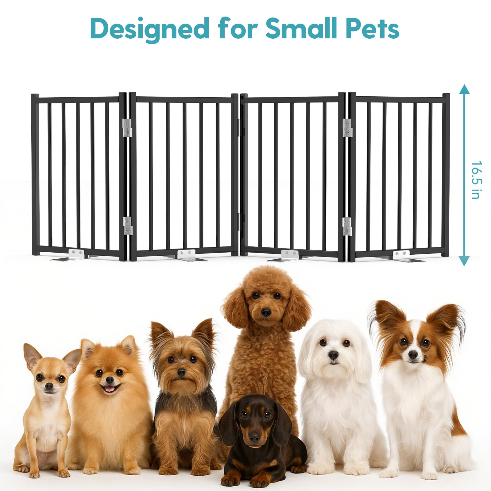 No Pawblems gate creates a safe boundary for curious pets at home.