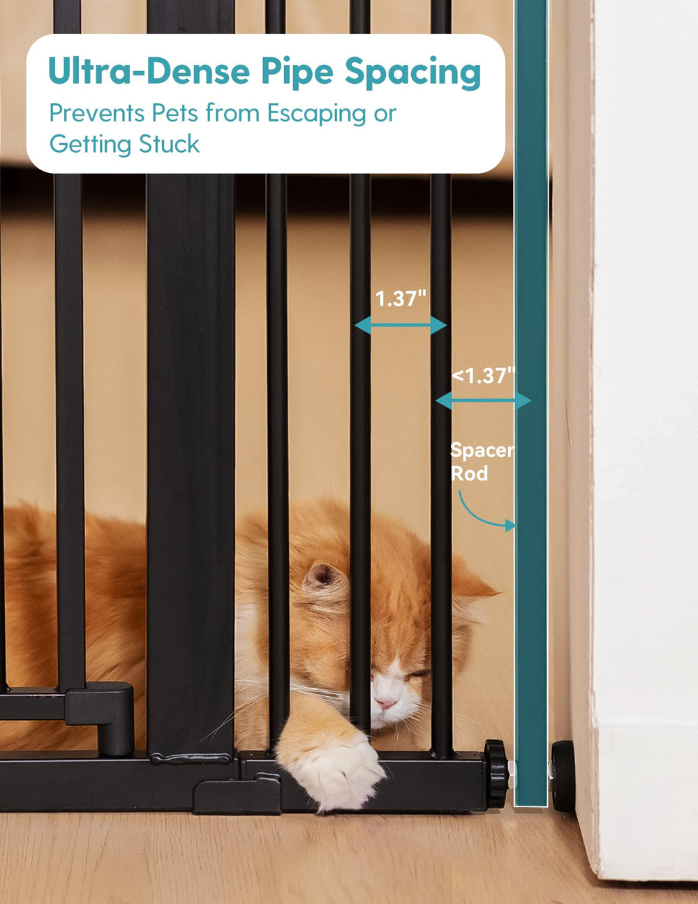 No Pawblems gate auto-close in action prevents doors from staying open.