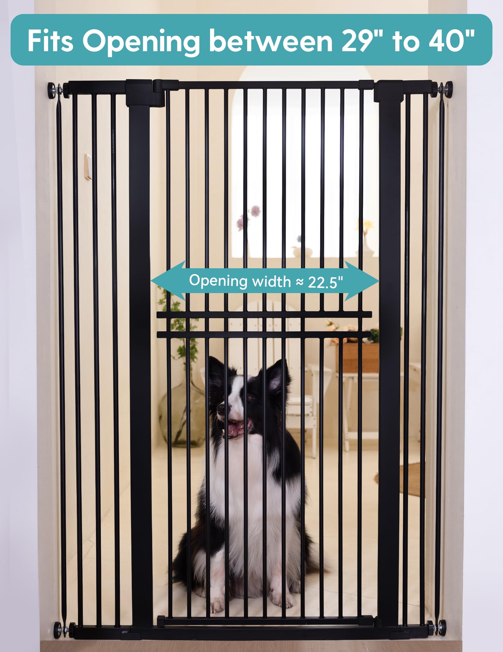 No Pawblems width-adjustable design fits 29–40 inches