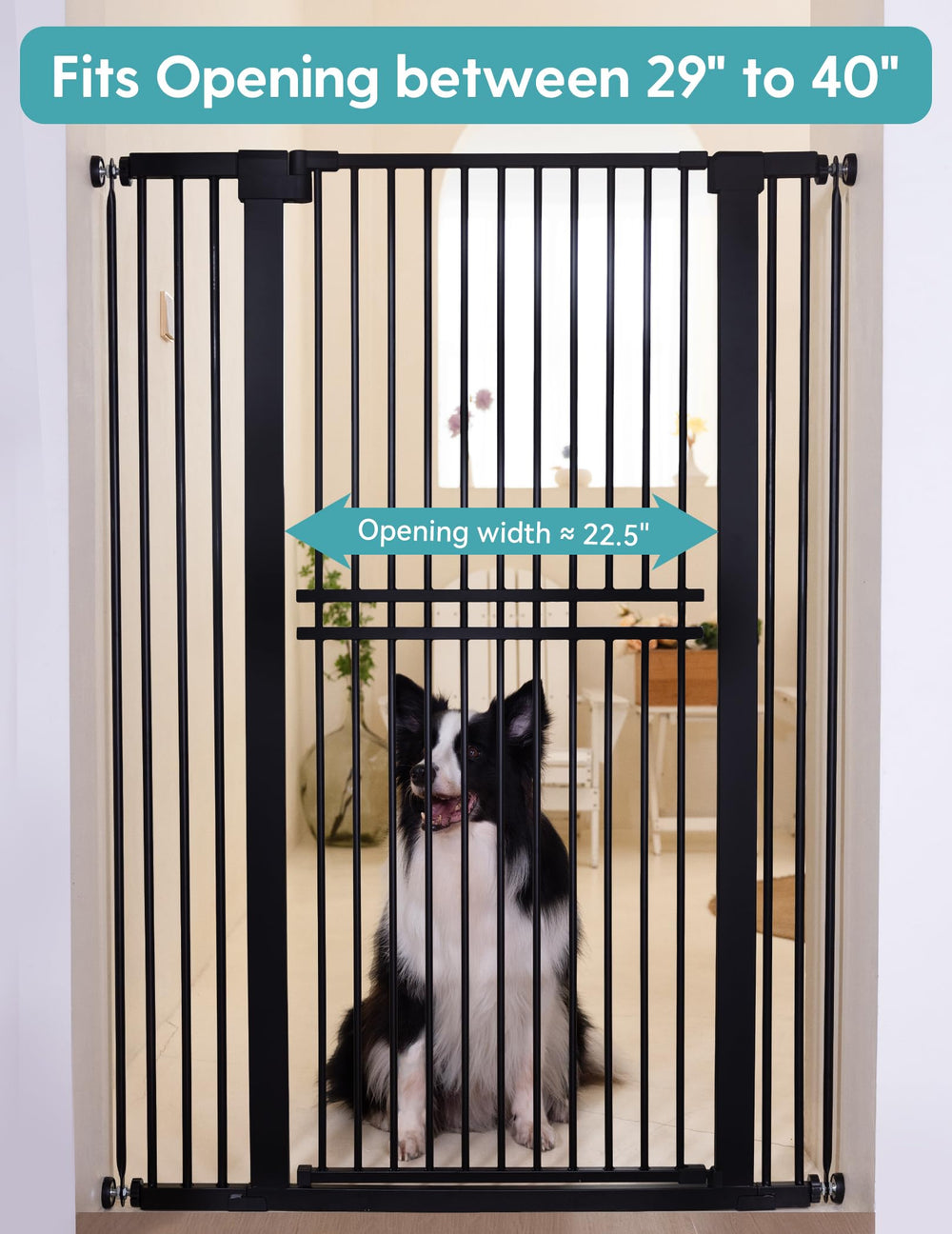 No Pawblems width-adjustable design fits 29–40 inches