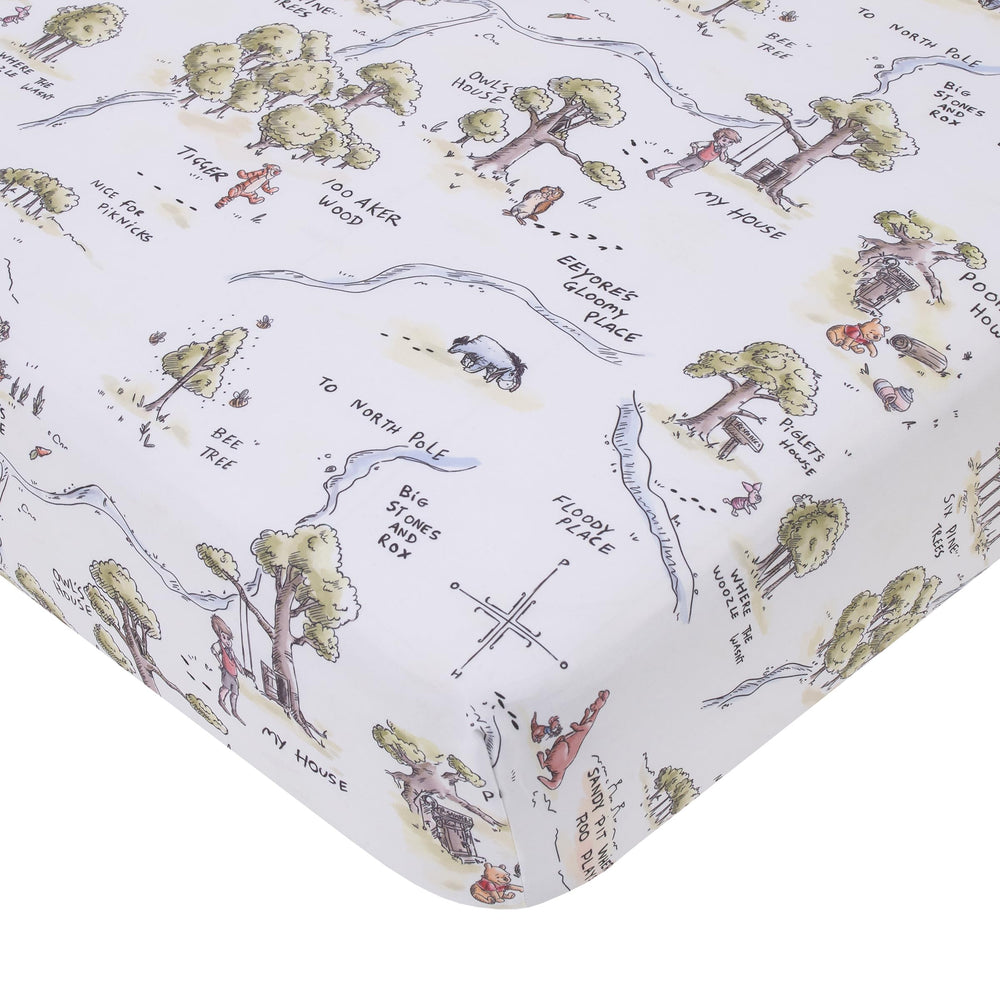 NoJo Winnie the Pooh 100 Acre Woods map design for a playful nursery ambiance.