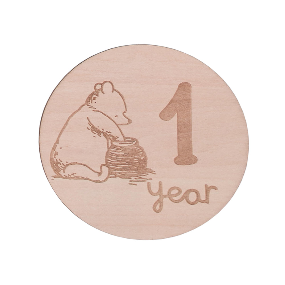 NoJo Winnie the Pooh 12 month card marks a year of memories