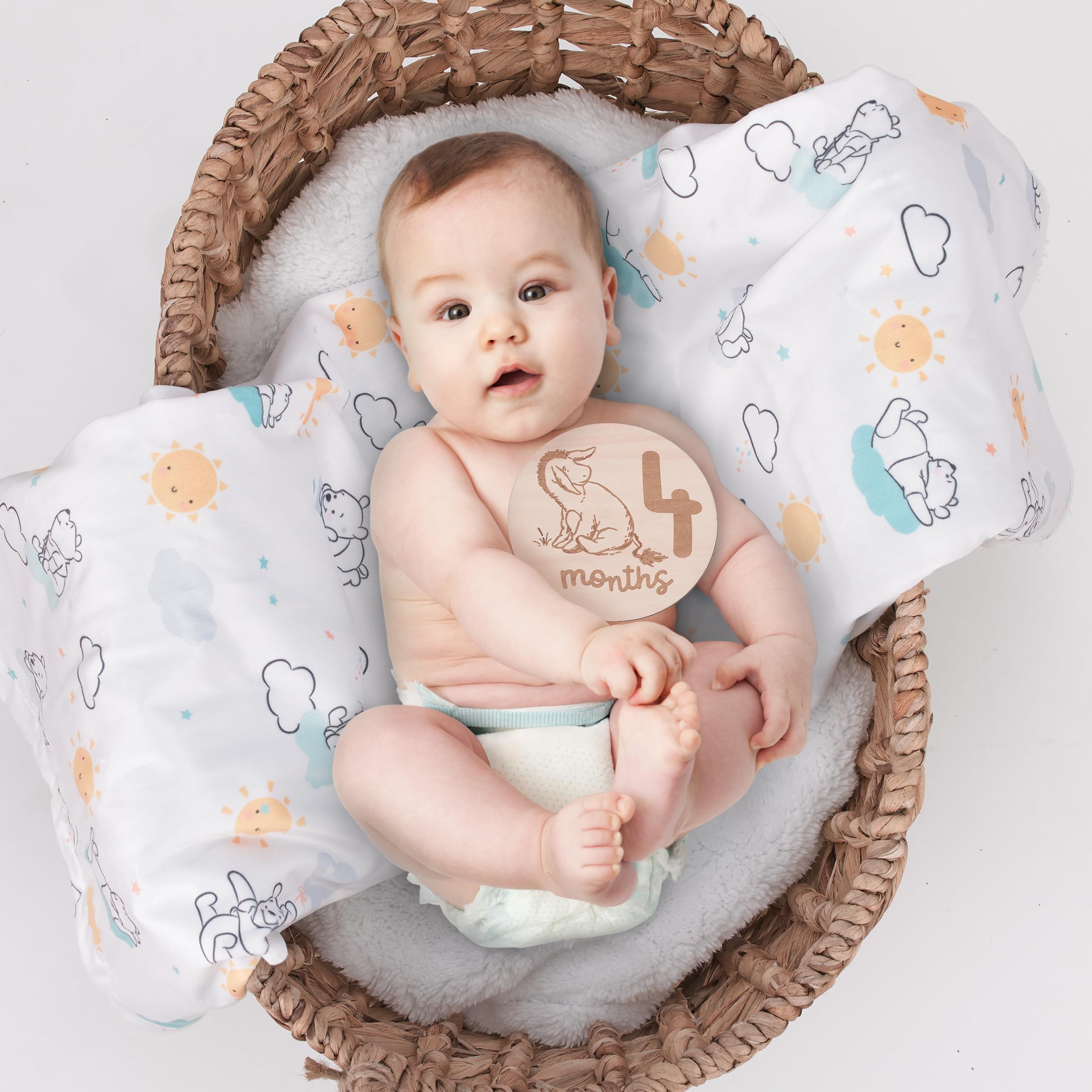 NoJo milestone 4 month card with Pooh family adds charm to photos