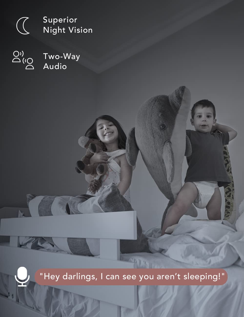 Nooie two-way audio lets you talk to family or pets remotely.