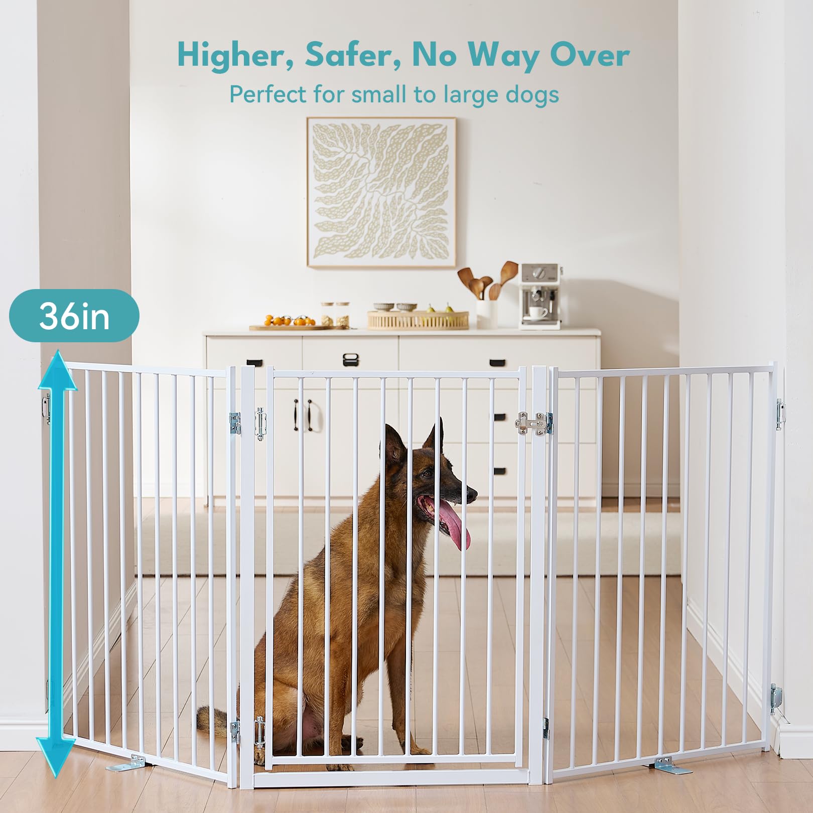 No Pawblems folding dog gate with 360 hinges shows flexible room planning