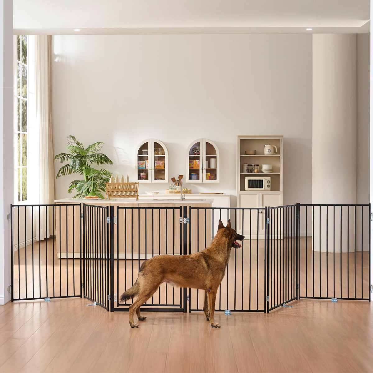 No Pawblems free-standing dog gate with 36-inch height blocks stairs indoors