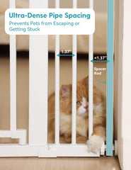 No Pawblems gate dual-lock safety mechanism shown for easy use