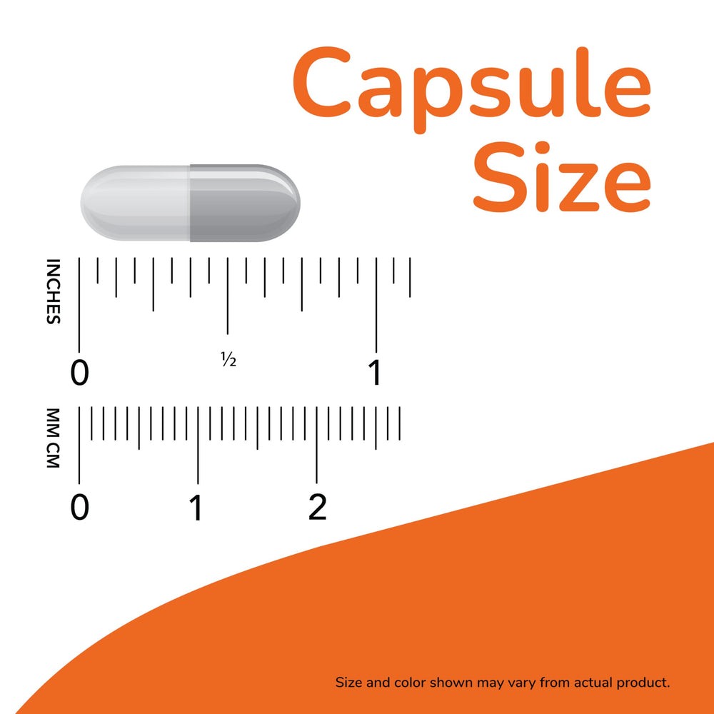 NOW Foods Menopause Support label close-up highlighting standardized extracts