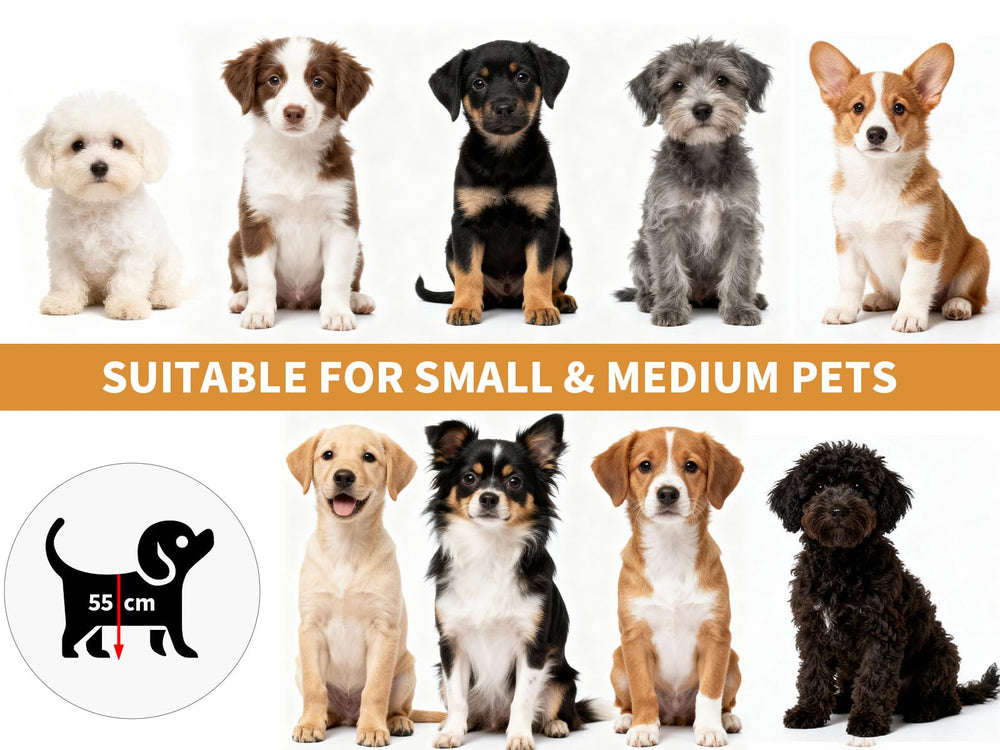Oapety Pet-friendly design keeps pets visible and safe.