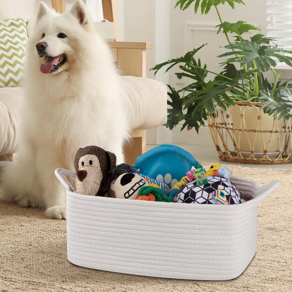 OIAHOMY cat-ear handle basket features charming, sturdy carries.