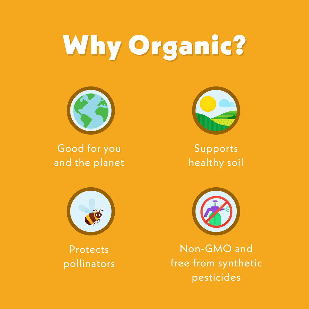 Bite close-up showing soft texture and visible fruit bits.