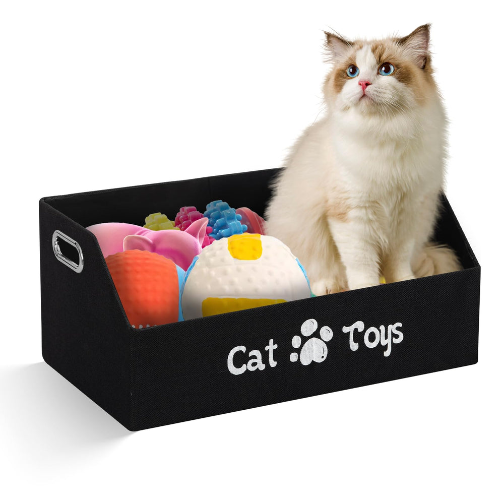 ORGMASTER trapezoid basket with low front/high back for accessible storage.