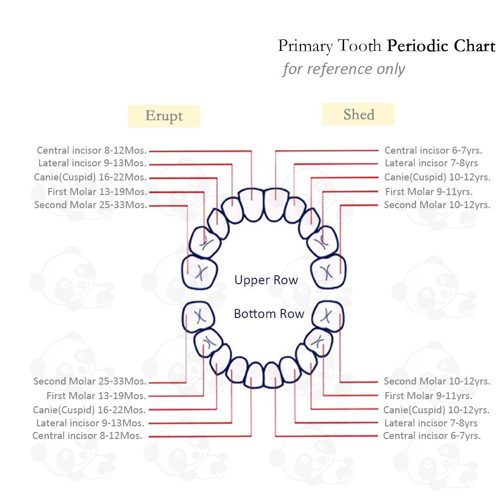 PAMBO keepsake gift packaging suitable for baby showers or birthdays.