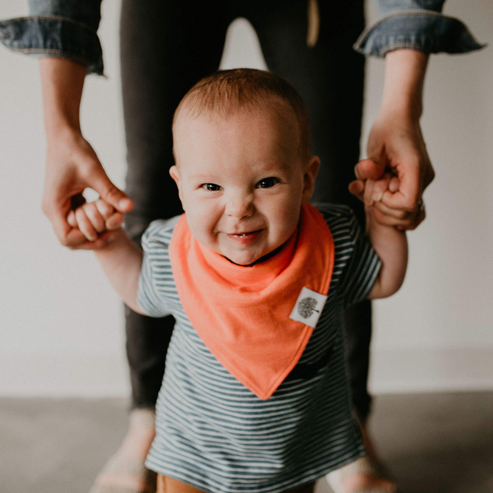 Estes Set bandana bib ideal for mealtime to catch drool and spills