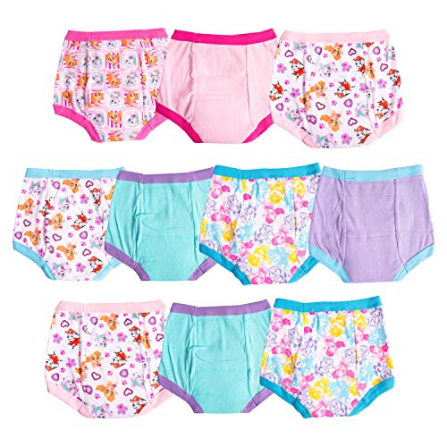 Paw Patrol Skye design potty pants for cheerful, independent use