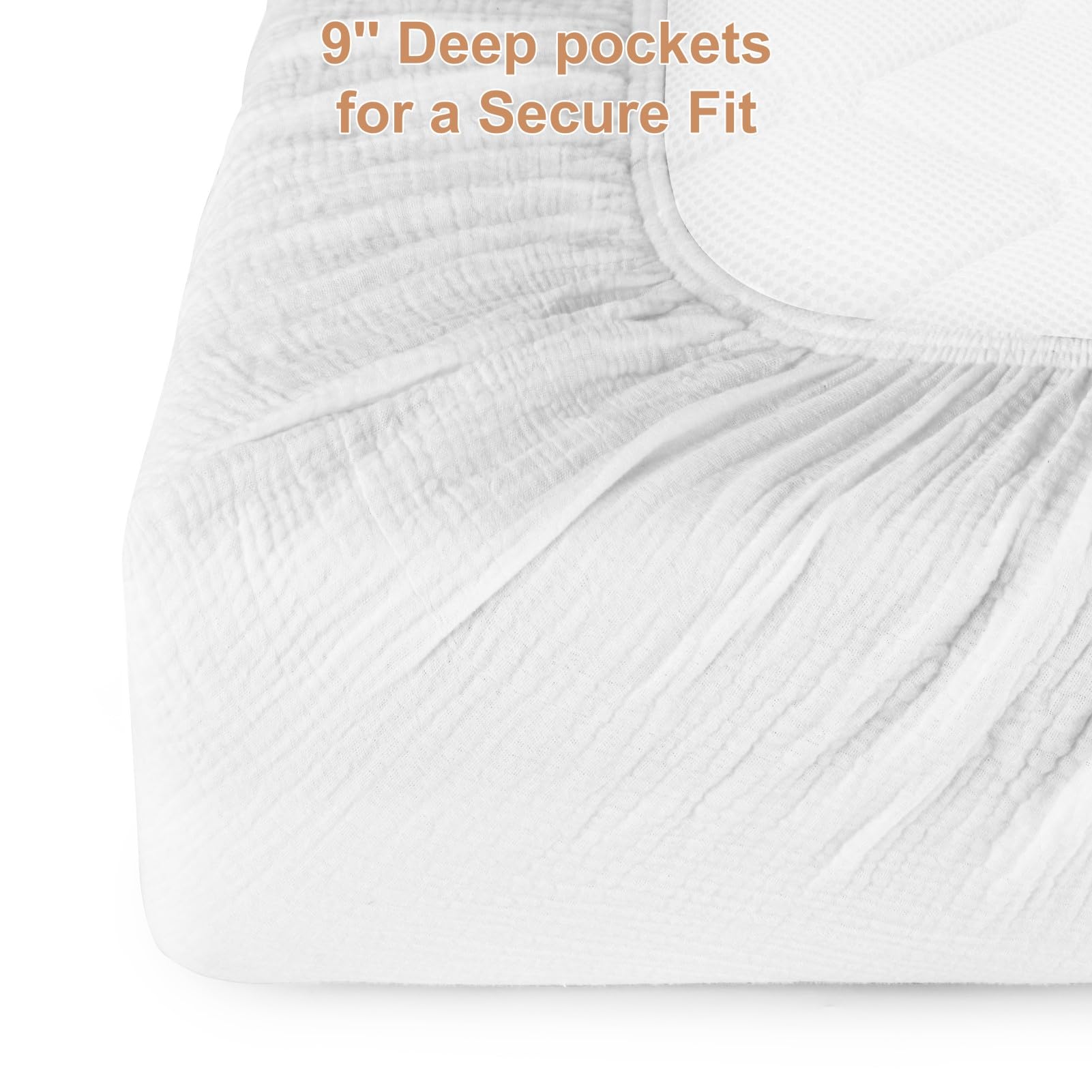 Pet Rejoir packaging two-pack display highlights practical care guidance